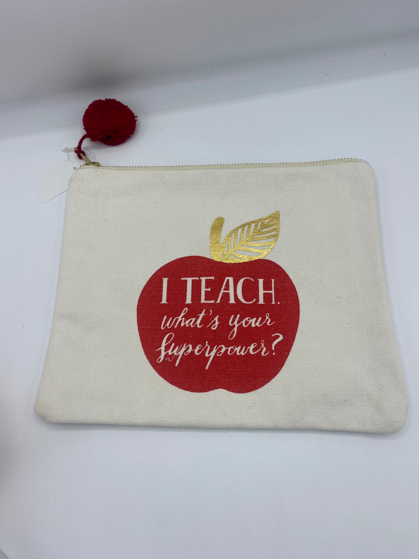 Teacher Pouch (Large)