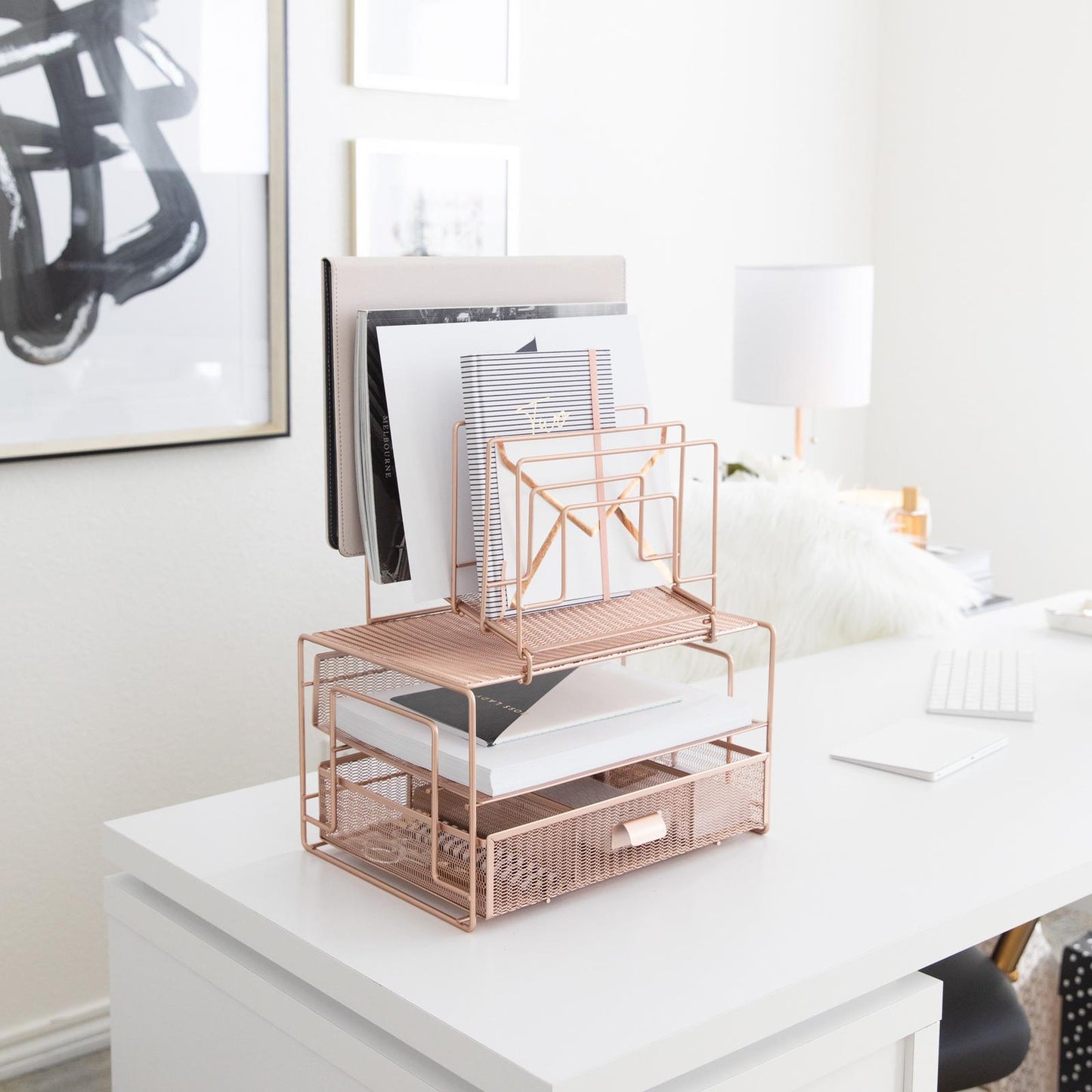 Desk Organizer (Vertical)